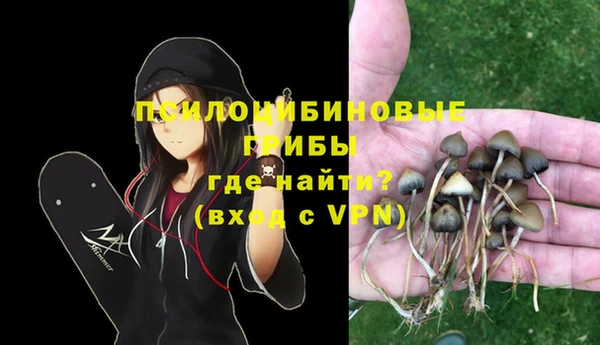 крисы Нефтегорск