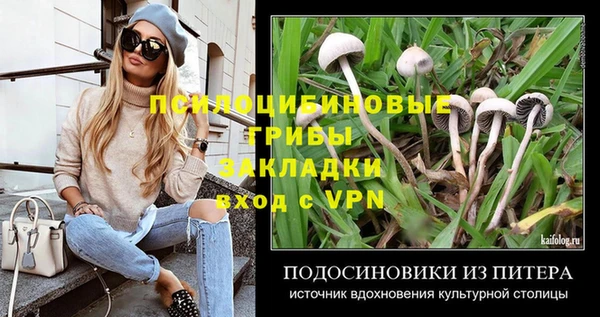 дмт Нефтекумск