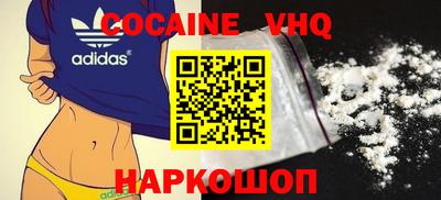 гашик Кингисепп