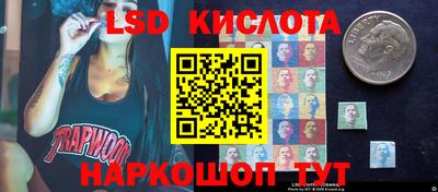 гашик Кингисепп