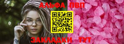 гашик Кингисепп