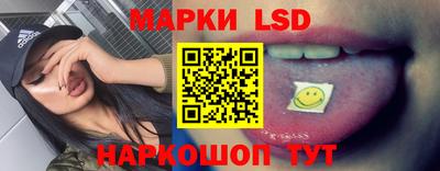 МДПВ Камышлов