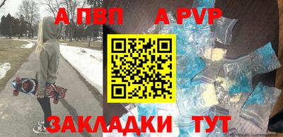 гашик Кингисепп