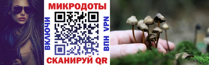 Псилоцибиновые грибы MAGIC MUSHROOMS Нижнеудинск