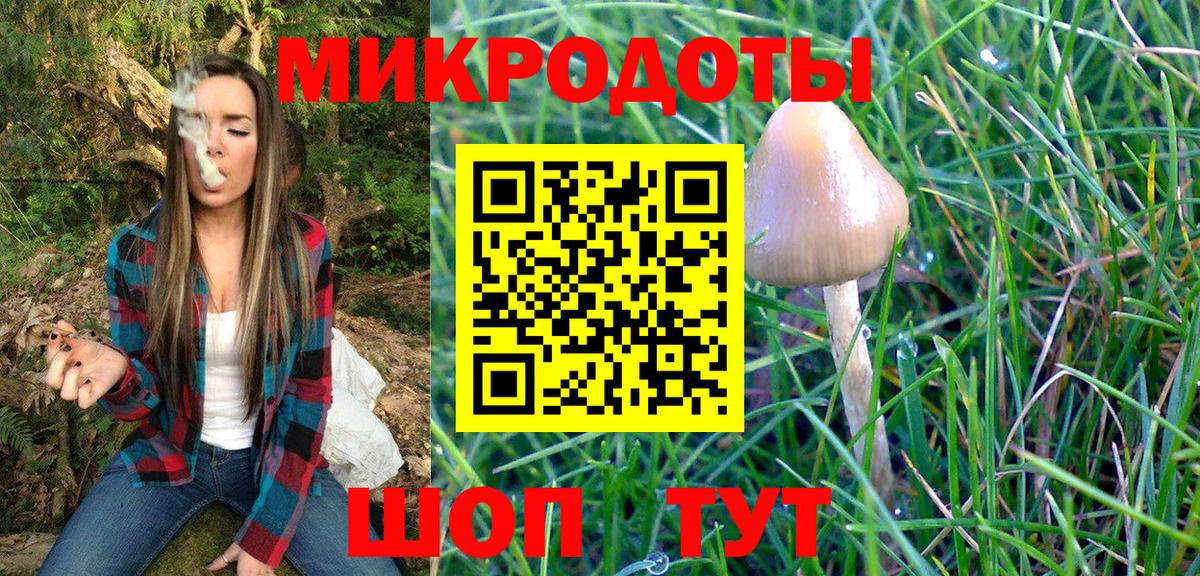 Нижнеудинск  Галлюциногенные грибы Psilocybine cubensis  Псилоцибиновые грибы Cubensis  Вход с VPN 