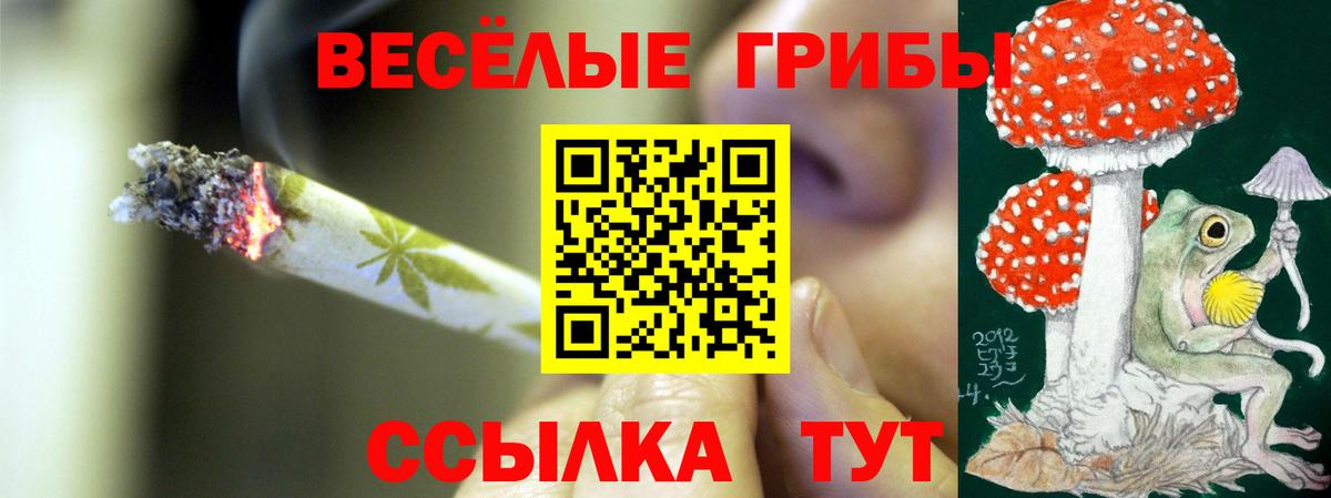 Галлюциногенные грибы прущие грибы Нижнеудинск